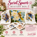 Secret Spaces Mystery Box - Kitchen Edition